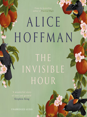 cover image of The Invisible Hour